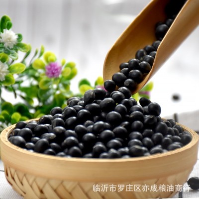 绿心黑豆批发 青仁东北圆粒熬粥豆浆原料黑豆 五谷杂粮50斤黑豆图2