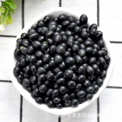 绿心黑豆批发 青仁东北圆粒熬粥豆浆原料黑豆 五谷杂粮50斤黑豆图4