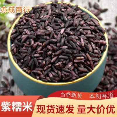 紫糯米批发云南墨江紫米50斤 煲粥紫米血糯米紫米粗粮紫大米