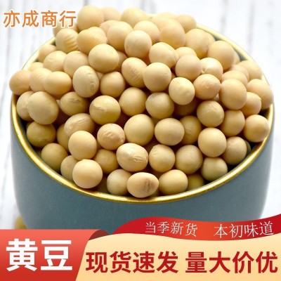 黄豆批发东北中粒黄豆50斤豆腐豆豆制品食品原料