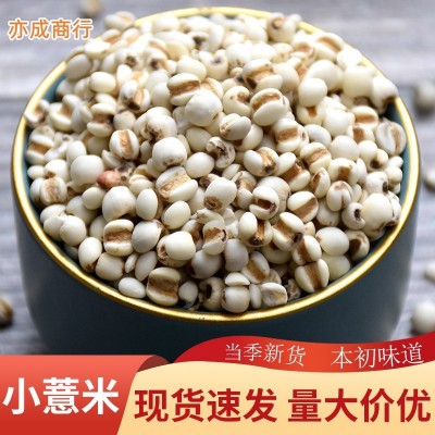 新鲜贵州小薏米仁薏仁米薏苡仁五谷杂粮50斤薏米批发