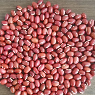 红小豆批发东北红豆五谷杂粮新货红小豆50斤农安红豆珍珠粒红豆图4
