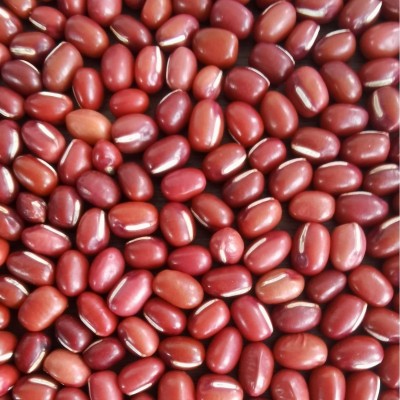 红小豆批发东北红豆五谷杂粮新货红小豆50斤农安红豆珍珠粒红豆图5