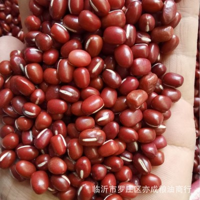 红小豆批发东北红豆五谷杂粮新货红小豆50斤农安红豆珍珠粒红豆