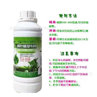 茶叶催芽920催芽壮芽叶片肥厚芽长嫩绿芽系密集抗寒抗旱防冻500g图4