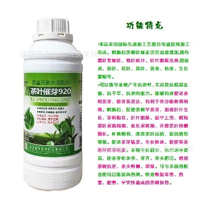 茶叶催芽920催芽壮芽叶片肥厚芽长嫩绿芽系密集抗寒抗旱防冻500g图2