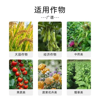 矿源黄腐酸钾含腐殖酸水溶肥化肥土壤调节生根黄腐酸钾 叶面肥图5