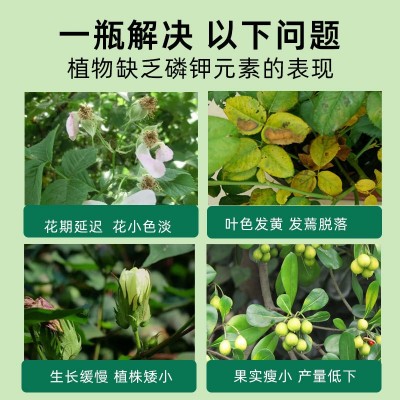 磷酸二氢钾叶面肥 花卉果蔬农用氮磷钾复合肥 花肥料促 花养花通用图5