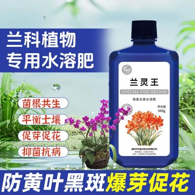 兰灵王兰花通用营养液菌肥君子兰蝴蝶兰建兰墨兰生根催芽有机肥图2