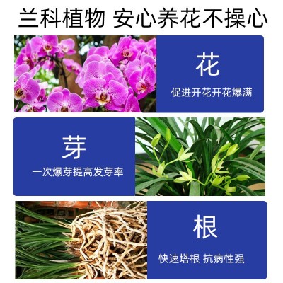 兰灵王兰花通用营养液菌肥君子兰蝴蝶兰建兰墨兰生根催芽有机肥图4