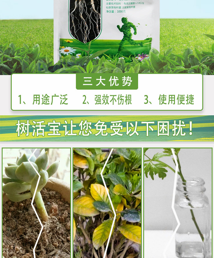 树活宝详情_02