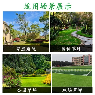 草坪增绿剂植物染色剂草皮增色剂绿化草地喷绿剂一喷即绿批发图3