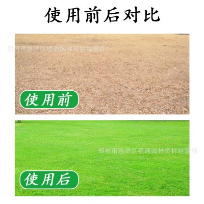 草坪增绿剂植物染色剂草皮增色剂绿化草地喷绿剂一喷即绿批发图4