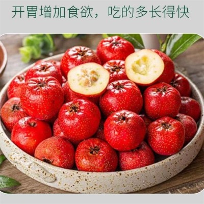 山楂酵母粉益生菌健胃促消化鸡鸭鹅牛猪羊等家禽饲料添加剂图4