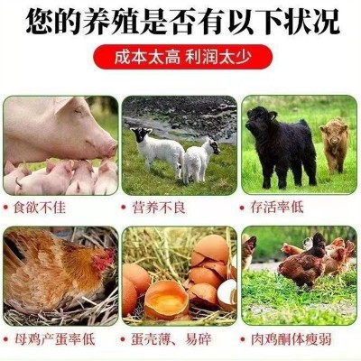 兽用小苏打鸡鸭鹅猪牛羊家禽饲料添加剂中和胃酸养殖用碳酸氢钠图5