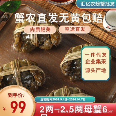 包邮全母蟹大闸蟹鲜活现货2两-2.5两河蟹6只养殖基地直发