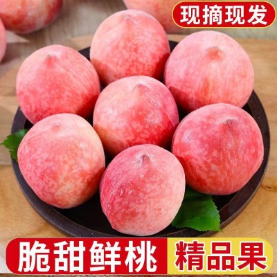 【现货】蒙阴水蜜桃脆甜硬桃毛桃映霜红冬桃新鲜孕妇水果现摘现发图2