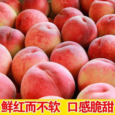 【现货】蒙阴水蜜桃脆甜硬桃毛桃映霜红冬桃新鲜孕妇水果现摘现发图3