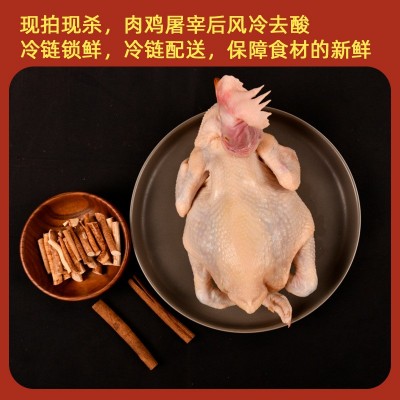 广西三黄鸡老母鸡农家土鸡整鸡冷冻黄油鸡煲汤火锅食材商 用批发图4