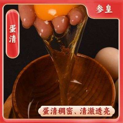 广西土鸡蛋20枚盒装谷物鸡蛋整箱批包邮早餐鸡蛋一件代发 鲜鸡蛋图4