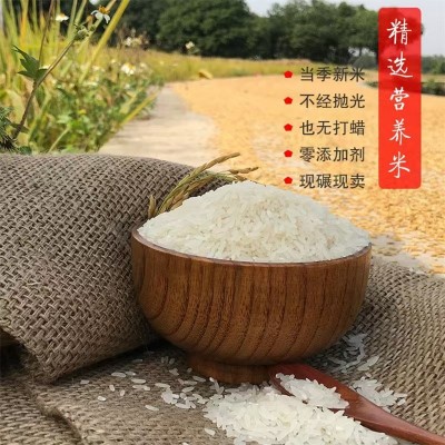 批发源头九七香米10kg厂家直供批发家庭用好品质大米图2