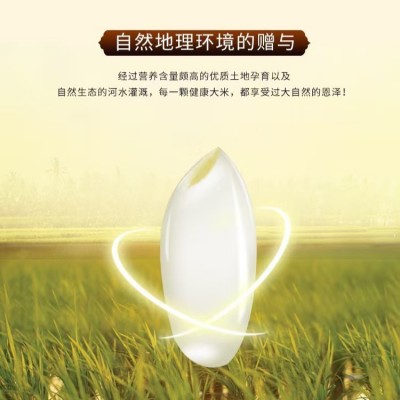 批发源头九七香米10kg厂家直供批发家庭用好品质大米图3
