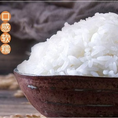广西象牙香米25kg50斤厂家批发代发直发团购优惠图3