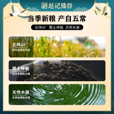 五常大米工厂五常稻花香米东北大米工厂货源厂家批发包邮一件代发图2