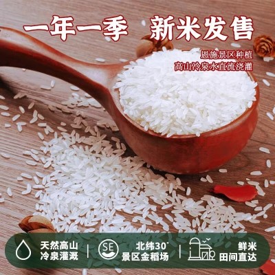 十月获富硒米10kg天然富硒大米20斤长粒籼米丝苗米832集采供应商图3