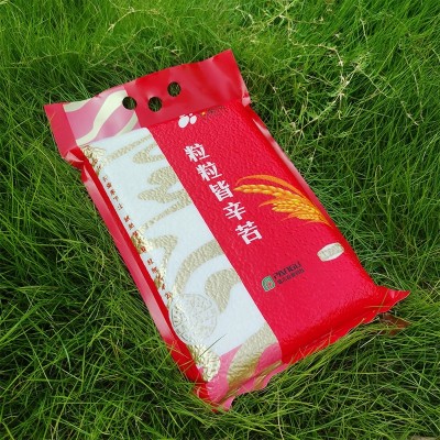 盘古[粒粒皆辛苦]5斤长粒米 两优品种大米 安徽天柱山精挑细选图3