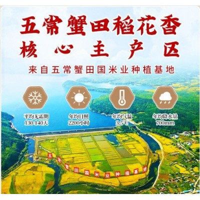 官方追溯五常置田国米5kg田稻花香10斤新米东北黑龙江五常特产图4