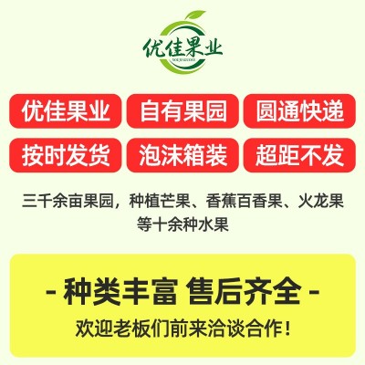 广西百色新鲜芒果小台芒热带水果台农芒果现摘现发代发跨境批发图2