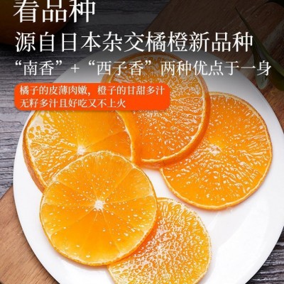 果冻橙橙子现摘四川手剥新鲜水果薄皮甜柑橘桔子非冰糖橙一件起批图3