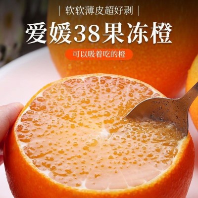 果冻橙橙子现摘四川手剥新鲜水果薄皮甜柑橘桔子非冰糖橙一件起批图5