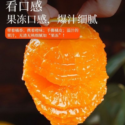 果冻橙橙子现摘四川手剥新鲜水果薄皮甜柑橘桔子非冰糖橙一件起批图4
