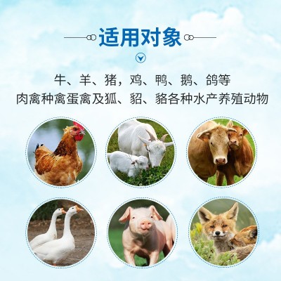 兽用21金维他鸡用猪牛羊兔水产补充多维维生素禽用饲料蛋氨酸维他图3