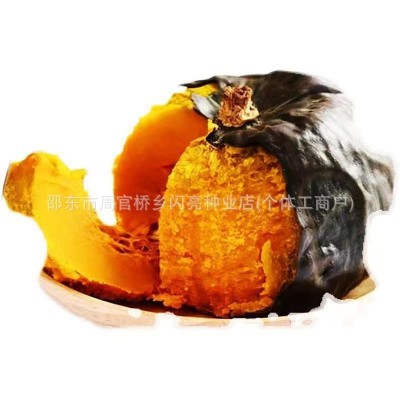 思念的味道南瓜种子粉糯香甜迷你南瓜早熟农家优质蔬菜种子大全图5