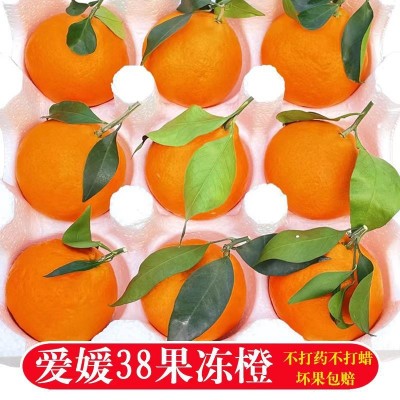 2024正宗四川爱媛38号果冻橙手剥橙新鲜水果柑橘桔子甜橙整箱包邮图2