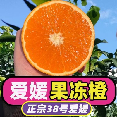2024正宗四川爱媛38号果冻橙手剥橙新鲜水果柑橘桔子甜橙整箱包邮图5