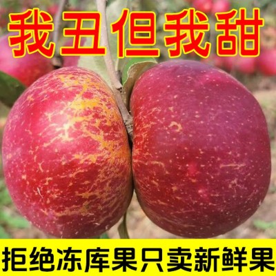 大凉山盐源丑苹果当季高山自然生态新鲜脆甜果营养健康可口红将军图3