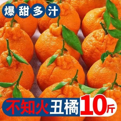 正宗不知火丑桔耙耙柑丑橘新鲜应季水果批发价一整箱包邮四川柑橘图3