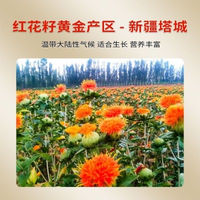 西格尔新疆西格尔食用红花籽油5升一级压榨新疆塔城纯红花籽油5L图3