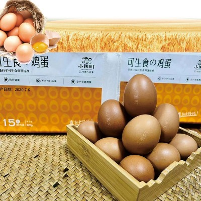小園町一枚好鸡蛋可生食温泉无菌蛋口感香糯无腥味图4