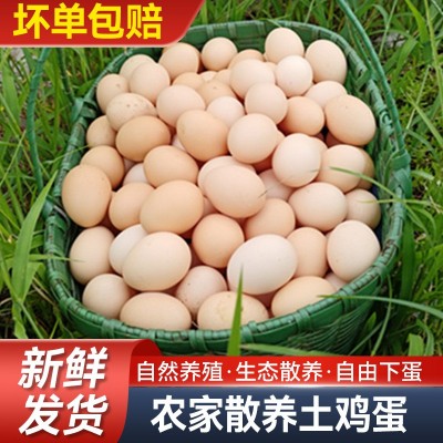 自然散养土鸡蛋五谷喂养走地鸡蛋月子蛋现捡新鲜母鸡初生蛋批发