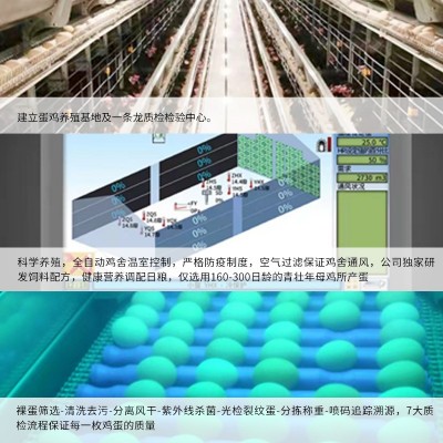 可生食富硒 叶黄素无沙门氏菌溏心蛋新鲜鸡蛋现捡现发图4