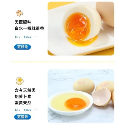 可生食富硒高钙高锌无沙门氏菌鲜鸡蛋无腥味土鸡蛋量大从优图4