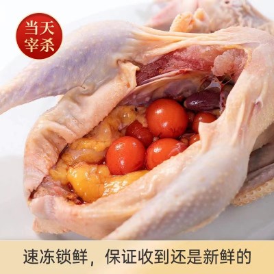 500天老母鸡整只新鲜现杀富硒可生食土鸡月子鸡春节送礼商用批发图2