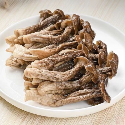 厂家直销古田鹿茸菇干货散装餐饮食材脆脆菇多种规格鹿茸菌批发图4