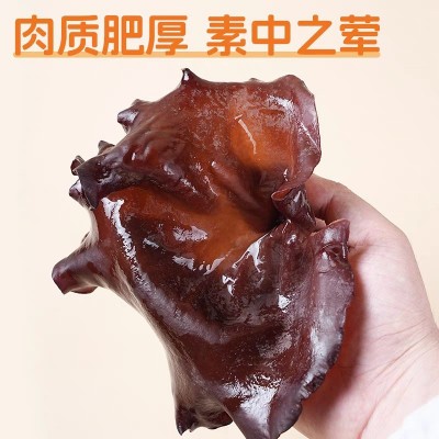清水白背黑木耳干货火锅食材散装脆木耳白背黑木耳大地耳脆耳图4