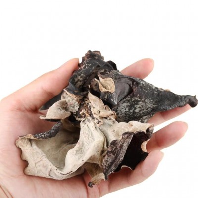 清水白背黑木耳干货火锅食材散装脆木耳白背黑木耳大地耳脆耳图5